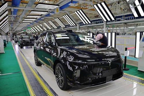 嵐圖汽車雙工廠火力全開，單日產能突破800輛，加速布局汽車市場