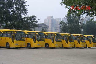 石家莊燕趙旅游汽車公司 汽車銷售新選擇，海量精選高清圖片庫助力決策